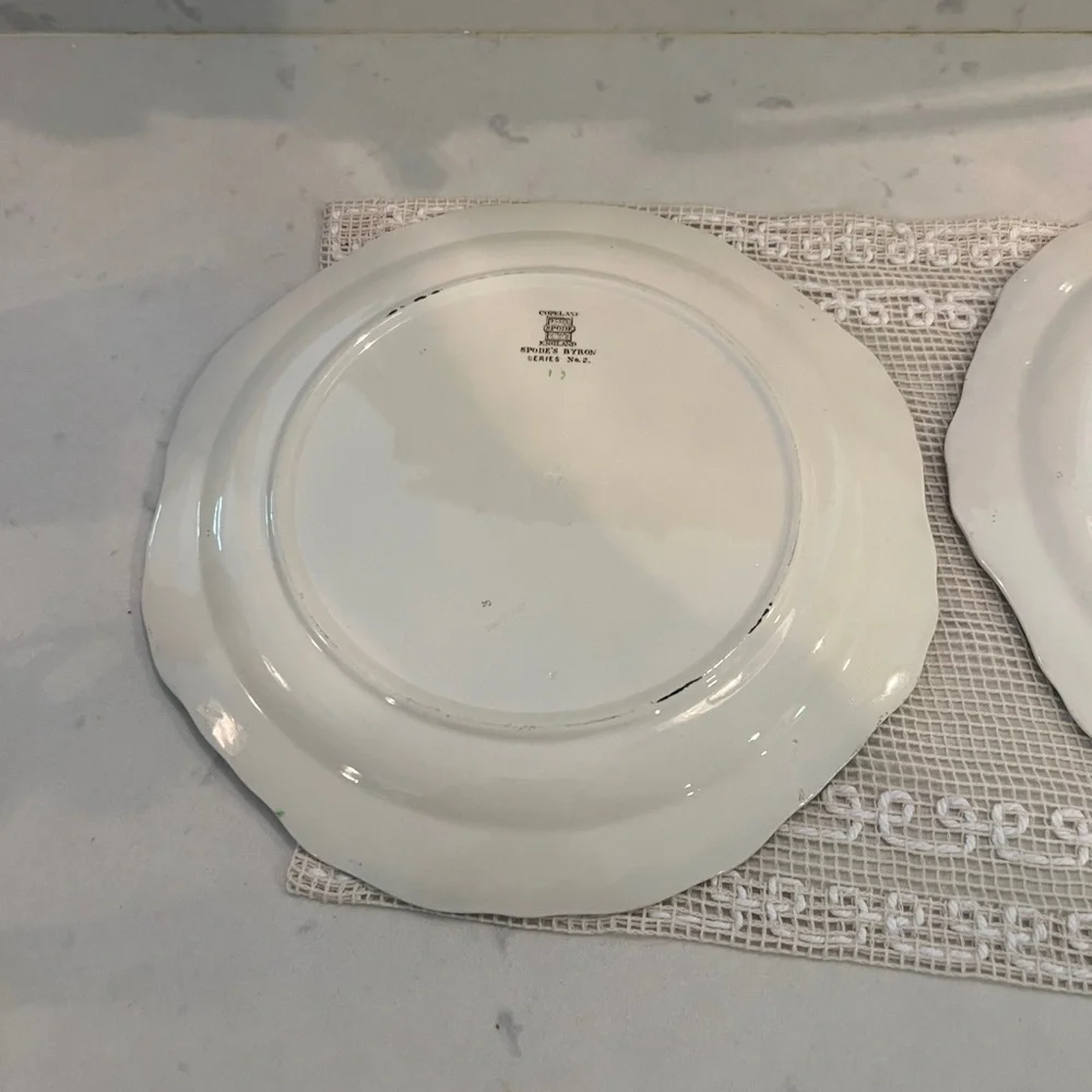 2 Copeland Spode Pattern Byron divided plates